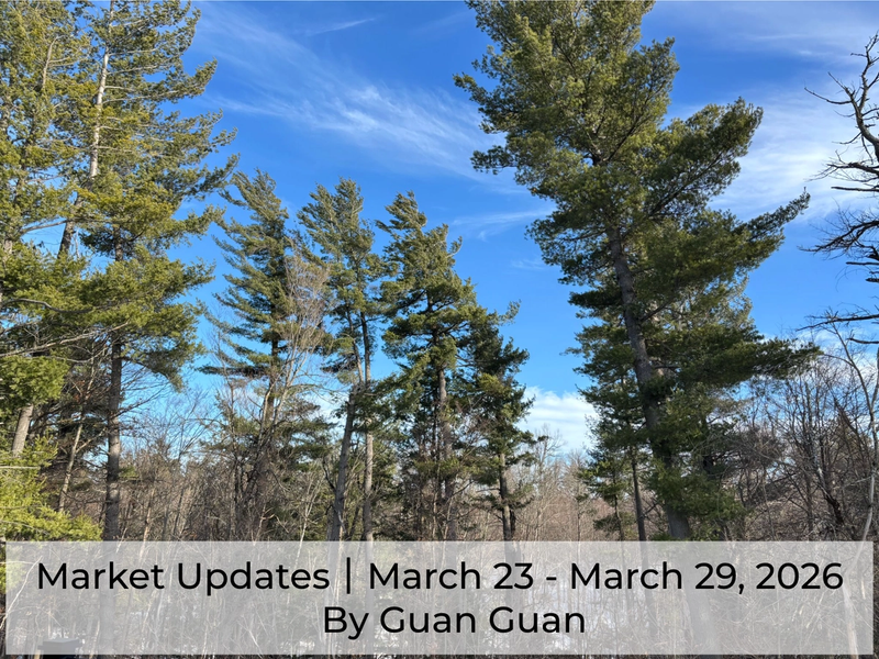 Market Updates March 23- March 29, 2026