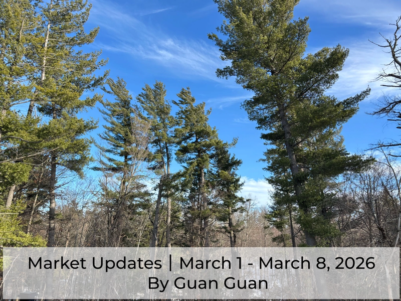 Market Updates March 1- March 8, 2026