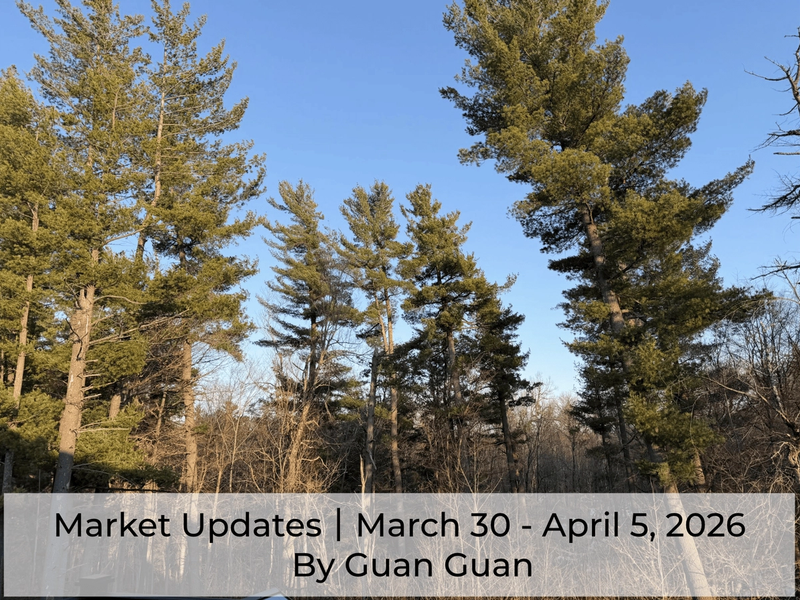 Market Updates March 30 – April 5, 2026