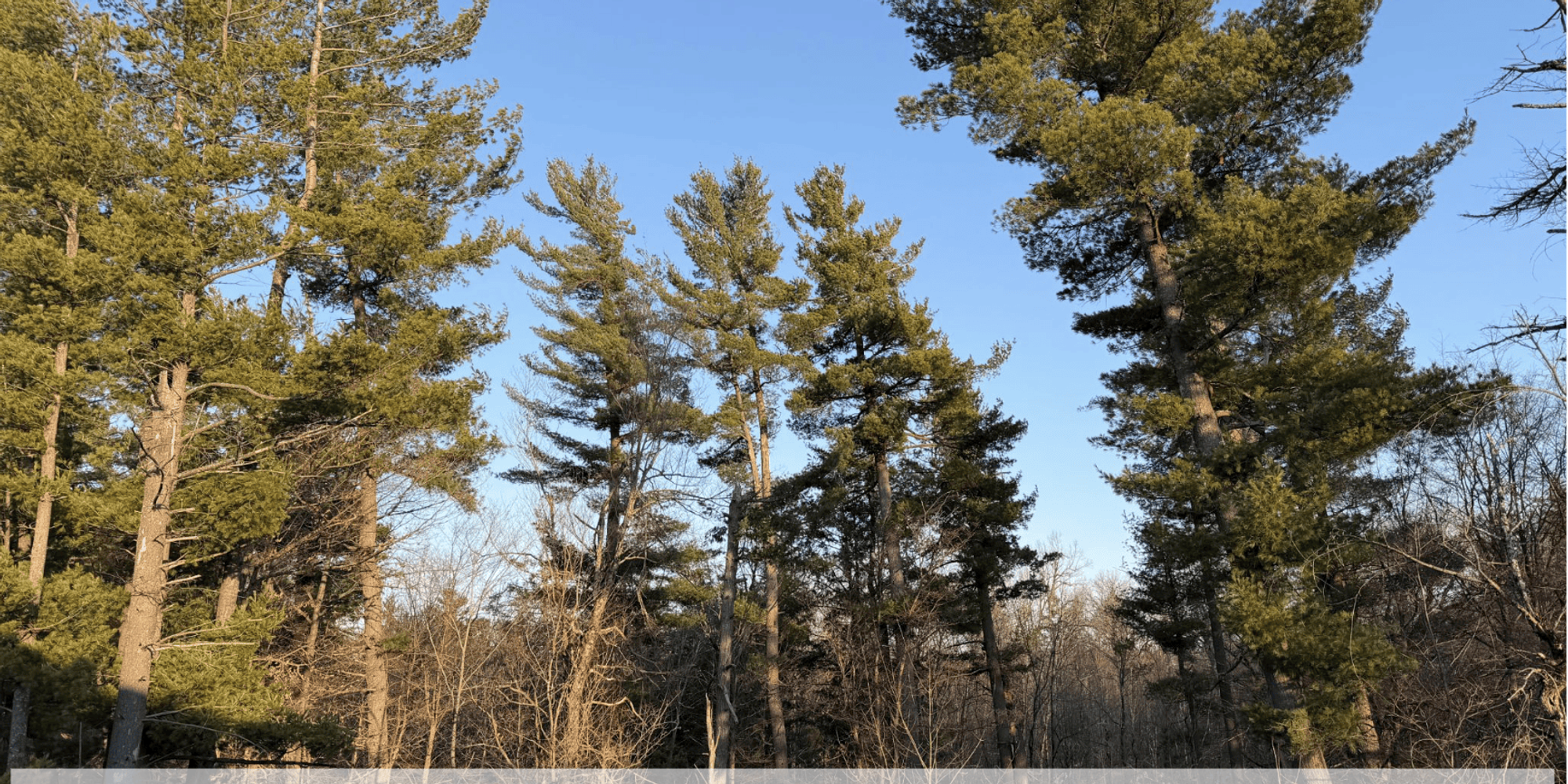 Market Updates March 30 – April 5, 2026