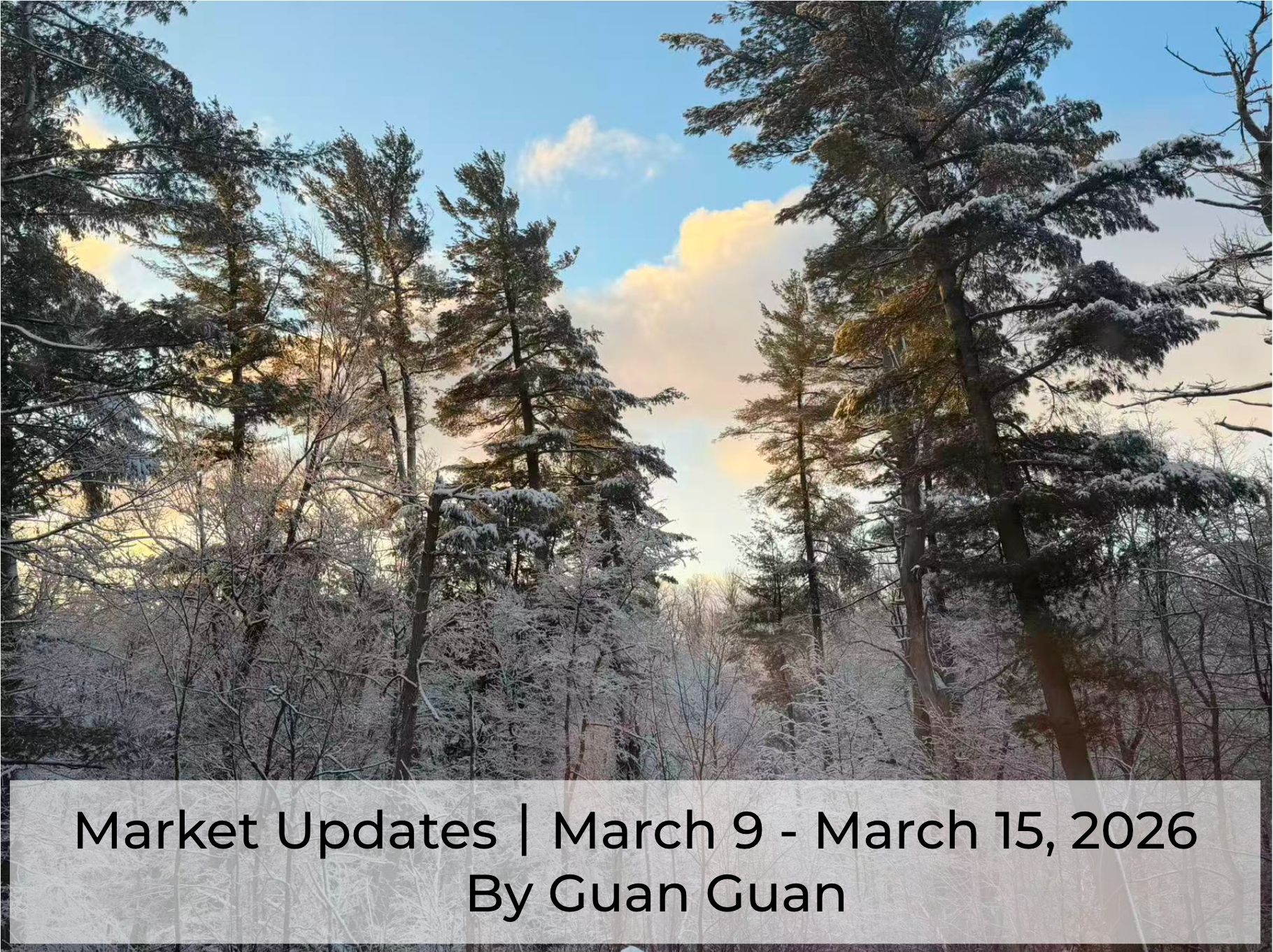 Market Updates March 9- March 15, 2026