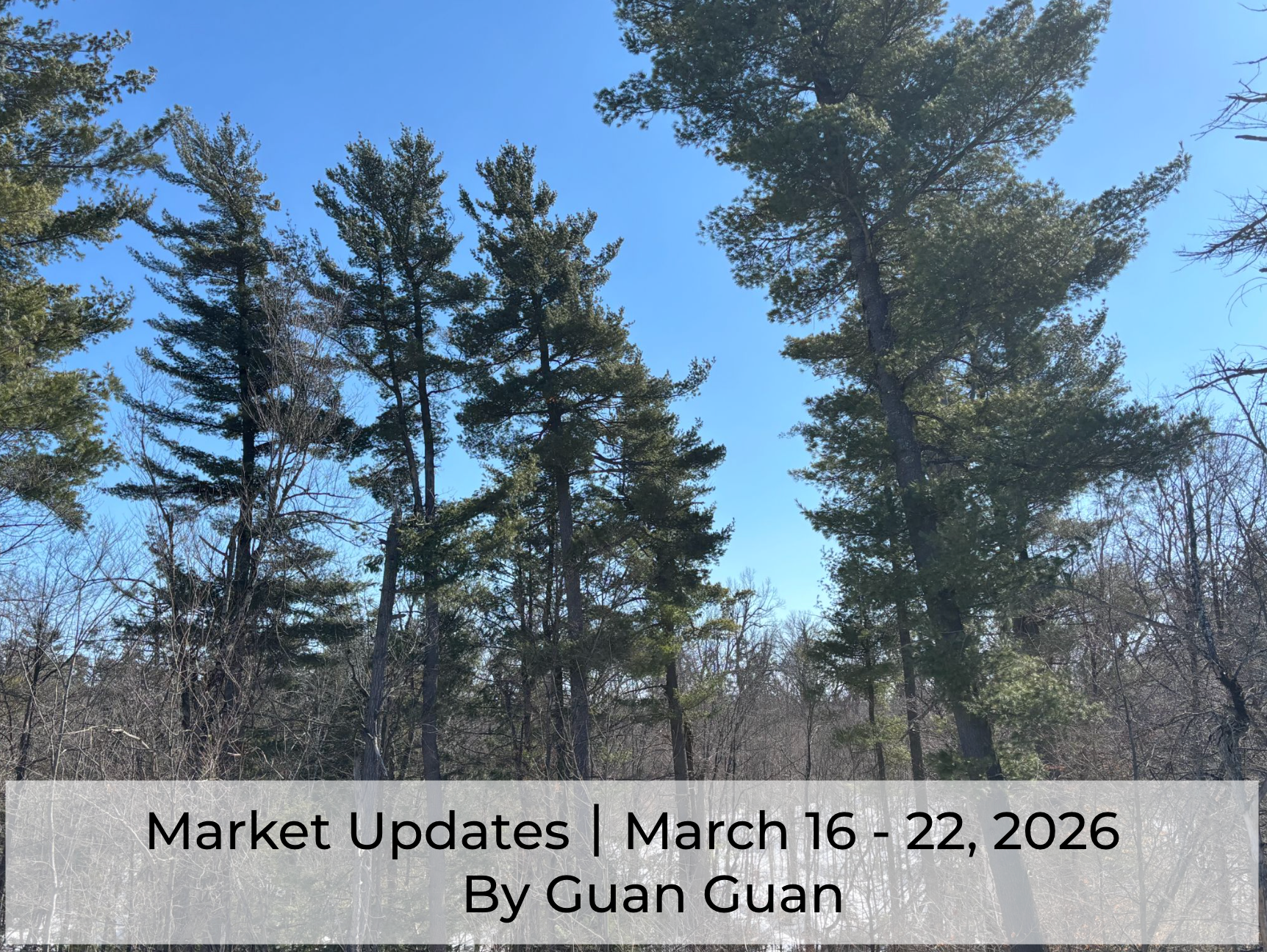 Market Updates March 16- March 22, 2026