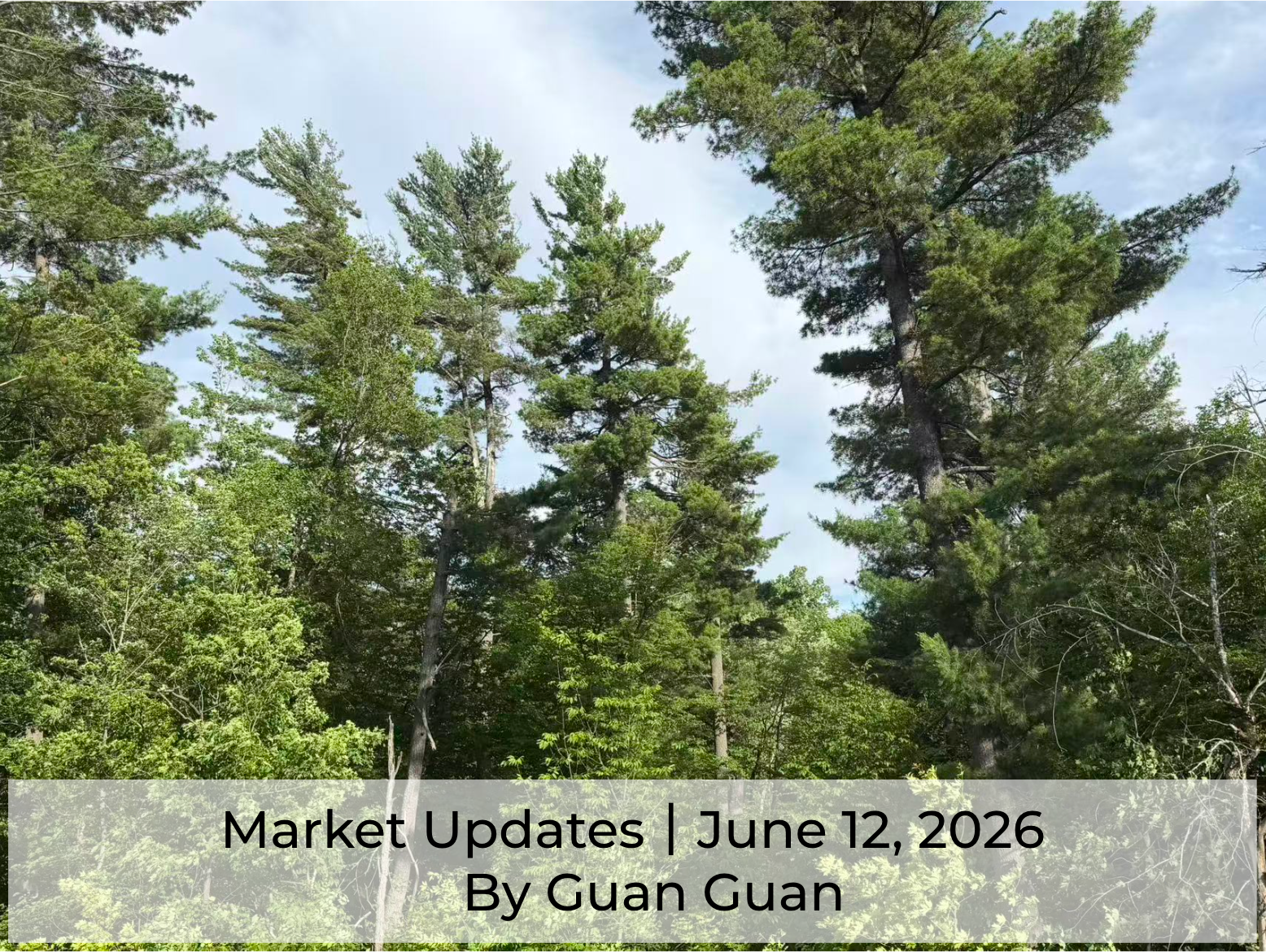 Market update - June 12, 2026