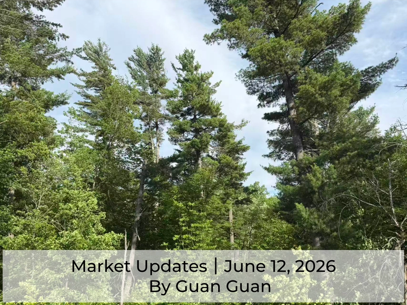 Market update - June 12, 2026
