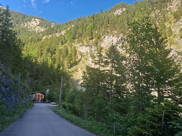 Sommerliche Zufahrtsstraße durch den Wald zum Gaichtpassstüberl