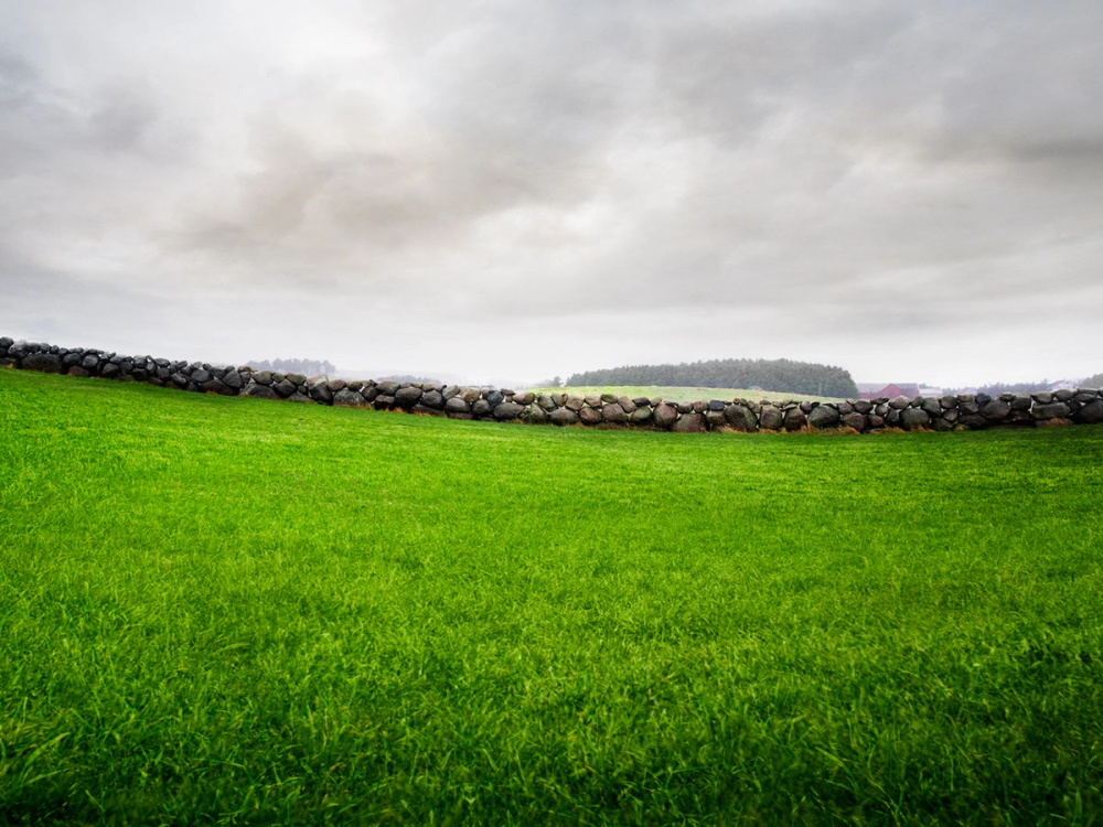 En grønn eng med en steinmur i forgrunnen og et fjell i bakgrunnen under en overskyet himmel.