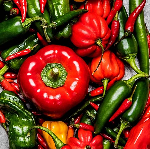 Et utvalg av ulike chilipepper i rødt, grønt og gult, med fokus på en stor rød paprika i midten.
