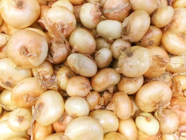 En samling av små, gule løk med tynne skinn og varierende størrelser.