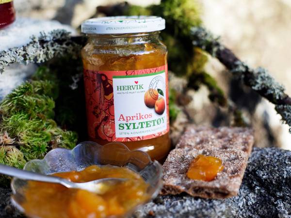 Et glass med aprikossyltetøy og en skive brød med syltetøy på, plassert på en stein ute i naturen.