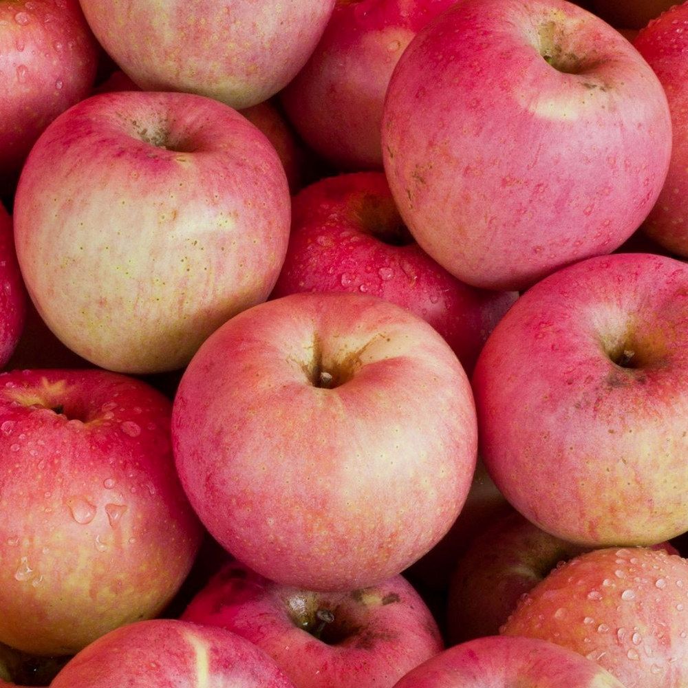 En gruppe rosa og grønne epler med vannflekker på overflaten.