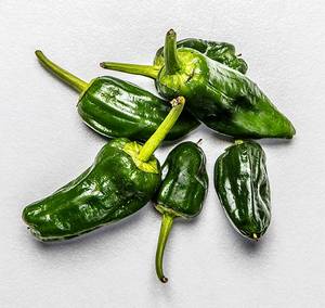 Fem grønne chilipepper av varierende størrelse ligger på en hvit bakgrunn.