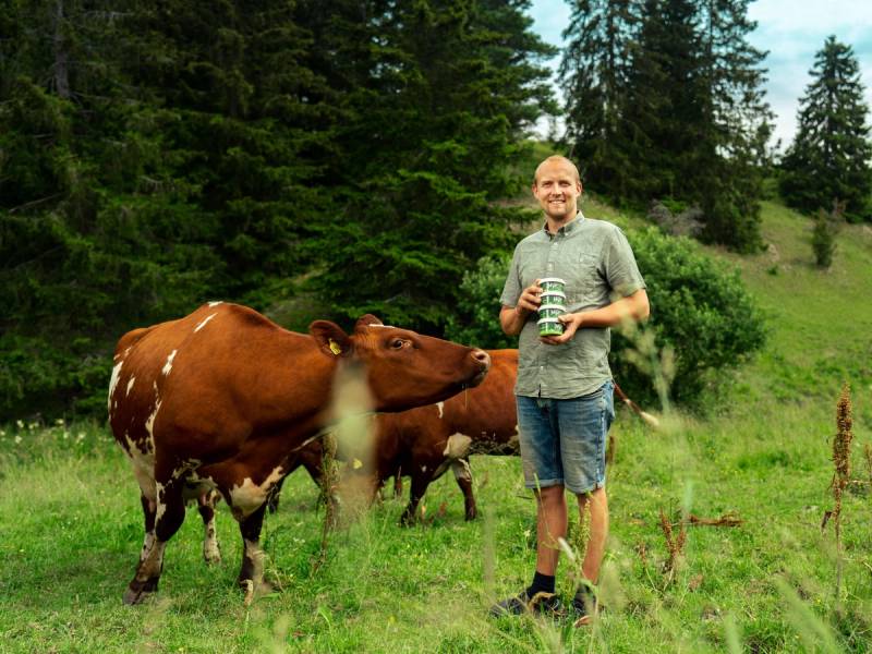 En person står i en grønn eng med kyr, og leser et papir, omgitt av trær og natur.