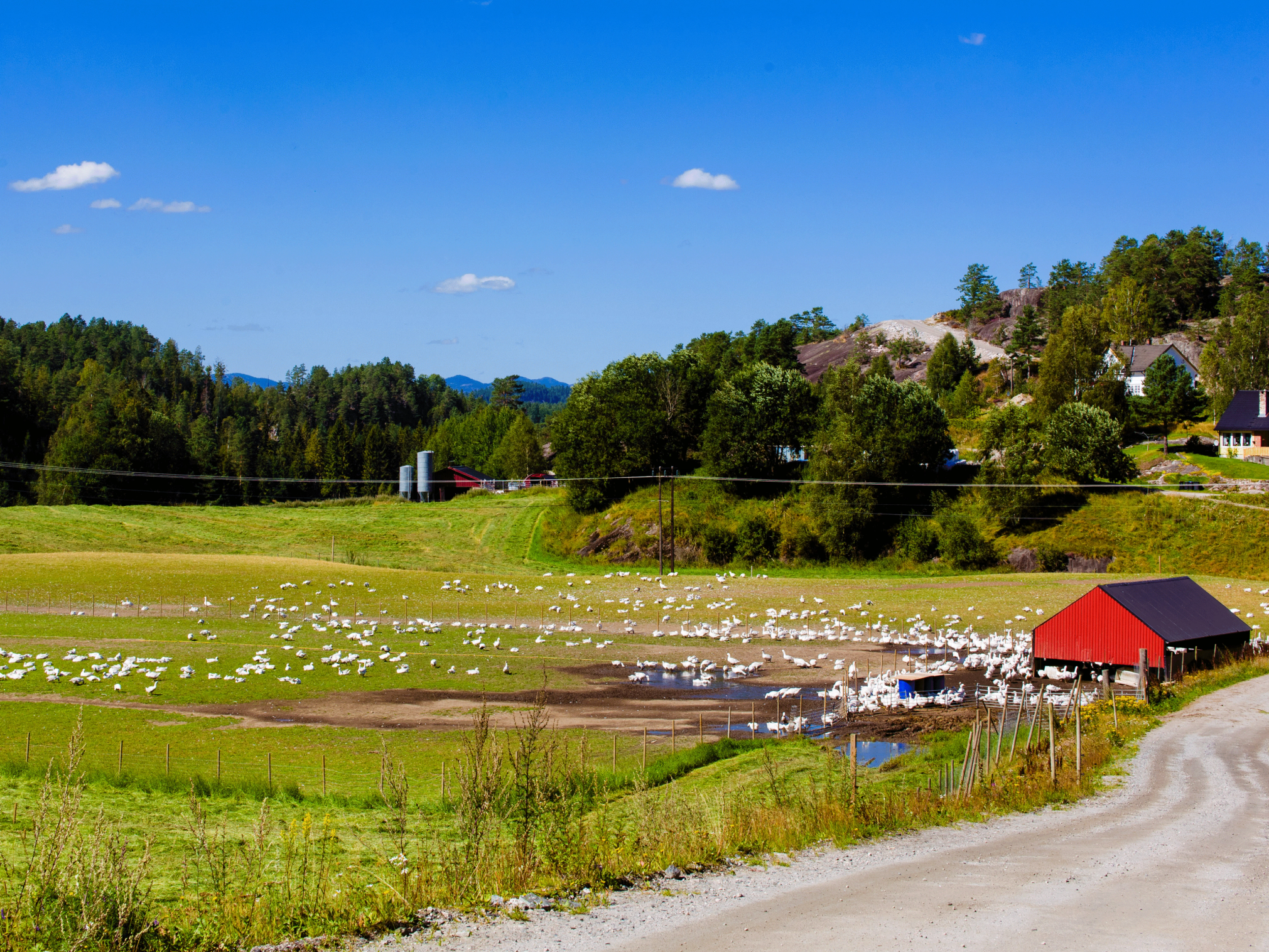 Utsikt over en landlig gård med en rød låve, grønne åkre og trær under en klar blå himmel.