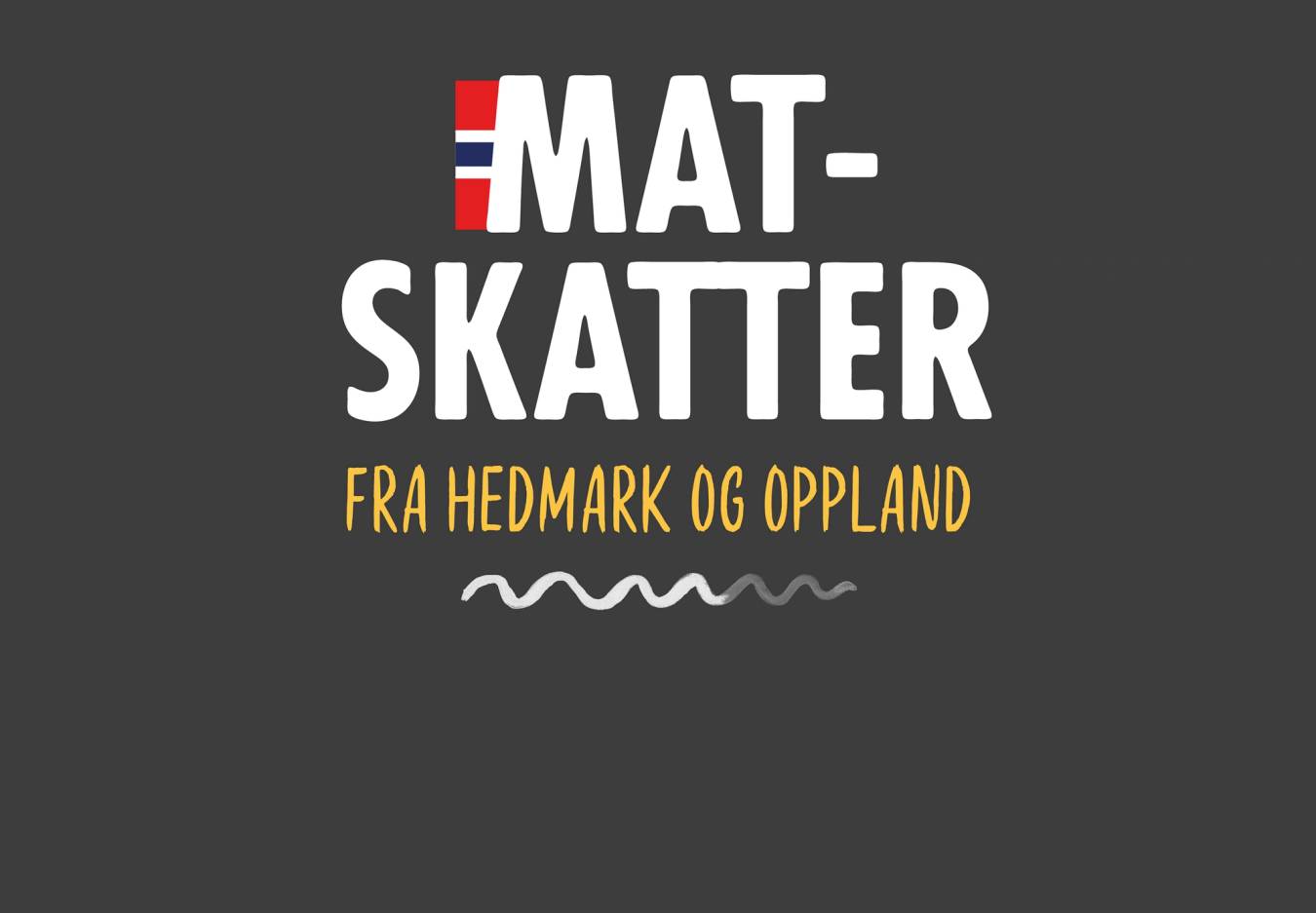 Logo for MatSkatter fra Hedmark og Oppland med hvit tekst på mørk bakgrunn og en liten norsk flaggdetalj