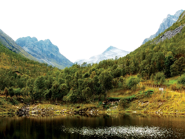 Utsikt over en rolig innsjø omgitt av grønne fjell og skog, med fjell i bakgrunnen.