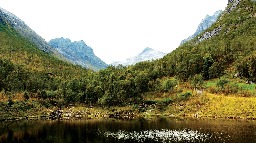 Utsikt over en rolig innsjø omgitt av grønne fjell og skog, med fjell i bakgrunnen.