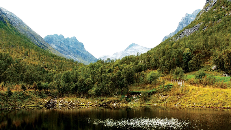 Utsikt over en rolig innsjø omgitt av grønne fjell og skog, med fjell i bakgrunnen.