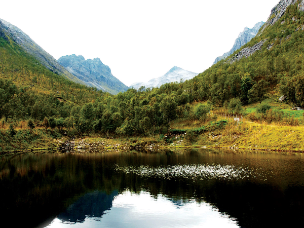 Utsikt over en rolig innsjø omgitt av grønne fjell og skog, med fjell i bakgrunnen.