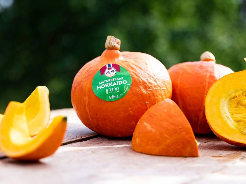 Hokkaidogresskar med en etikett som viser at den er økologisk, plassert på en utendørs treflate med grønt bakgrunn.