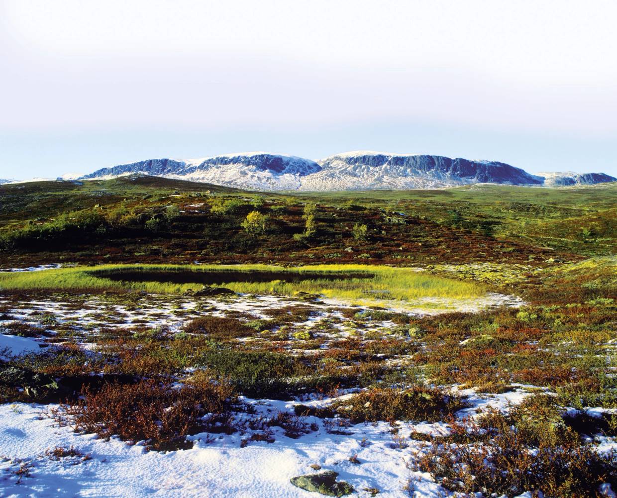 Utsikt over fjellområdet Hallingskarvet med snø på toppene og grønt landskap foran.