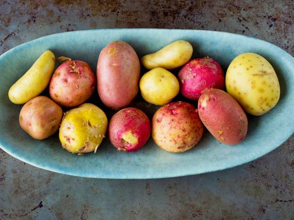 Varierte poteter i en oval formet skål på en rustikk overflate
