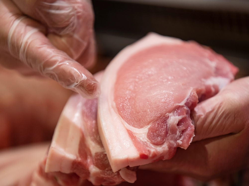 En person holder et stykke svinekjøtt med bein, klar for tilberedning, på Jæren.