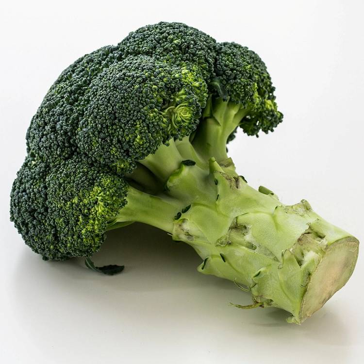En hel brokkoli med en del av stilken synlig, plassert på en hvit bakgrunn.