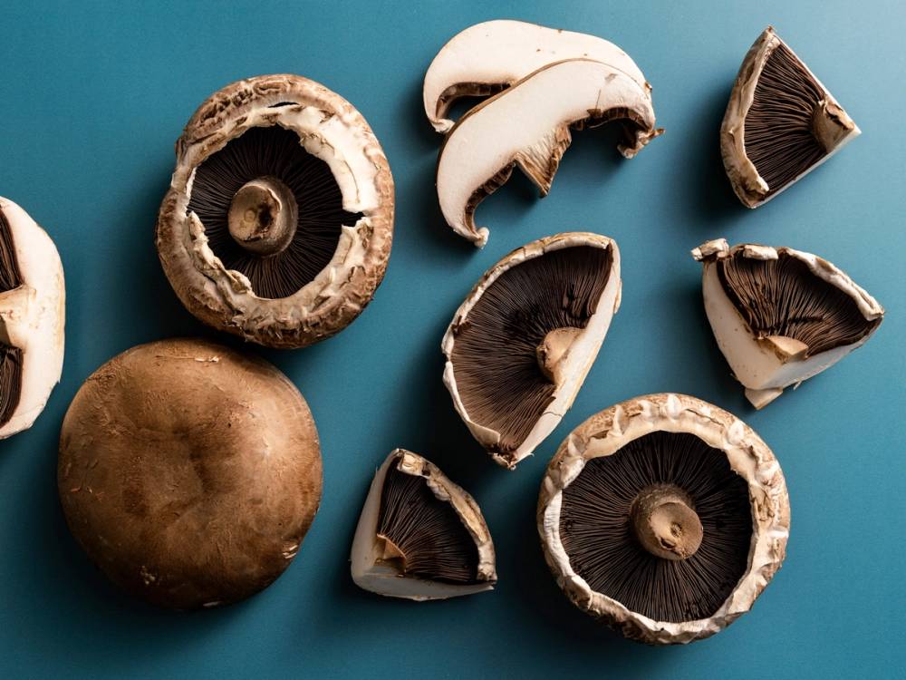 Flere portobellosos med mørkebrune undersider og en hel portobellosopp på en blå bakgrunn.