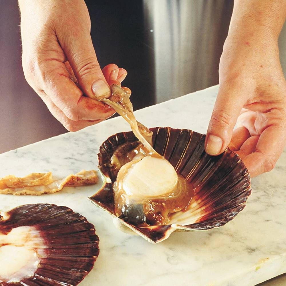 Person som åpner en kamskjell med en kniv over et hvitt kjøkkenbord.