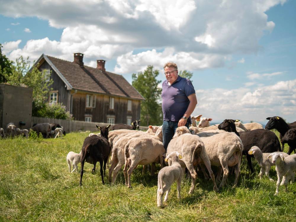 En mann står blant sauer på en grønn eng med en gammel trehytte i bakgrunnen under en skyet himmel.