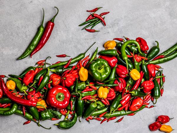 Et utvalg av ulike chili i forskjellige farger og former ligger på en lys bakgrunn.
