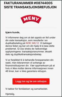 En e-postmelding som advarer om en feil i en transaksjon og ber om hjelp for å løse problemet, med en knapp for å logge inn og få refusjon.