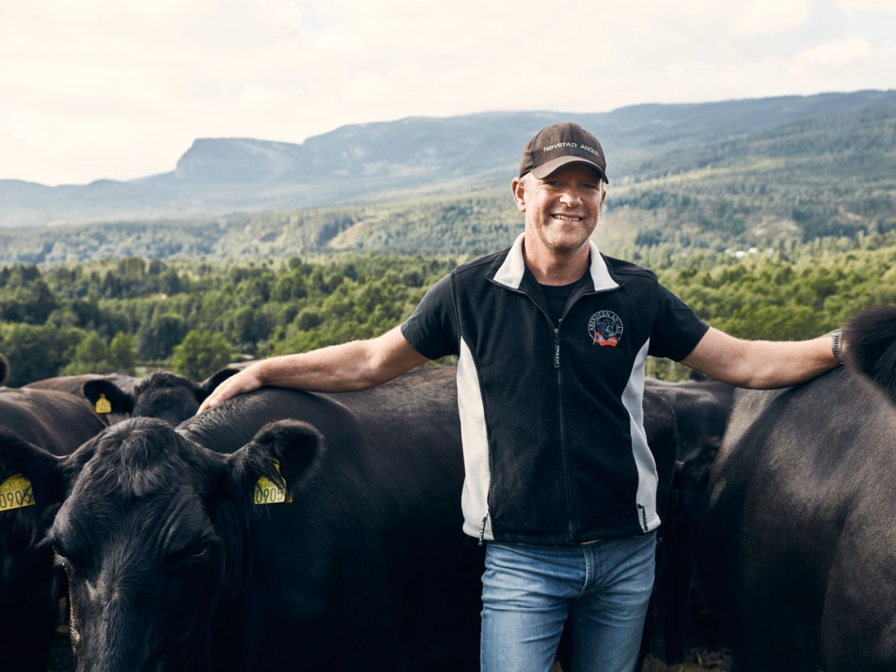 Person som står mellom to kyr med utstrakte armer, omgitt av grønne åser og fjell i bakgrunnen.