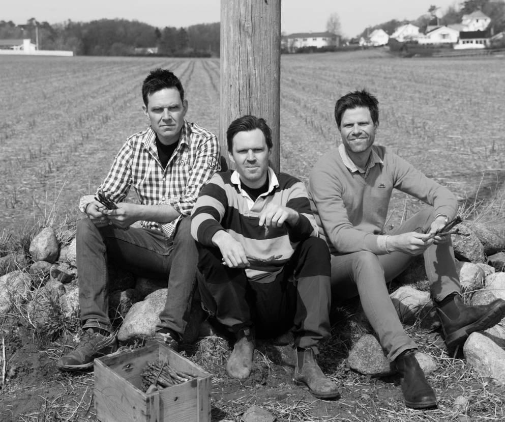 Tre brødre sitter på en steinrøys foran en trestolpe i et åpent landskap, alle i casual klær og med ansiktene dekket til.