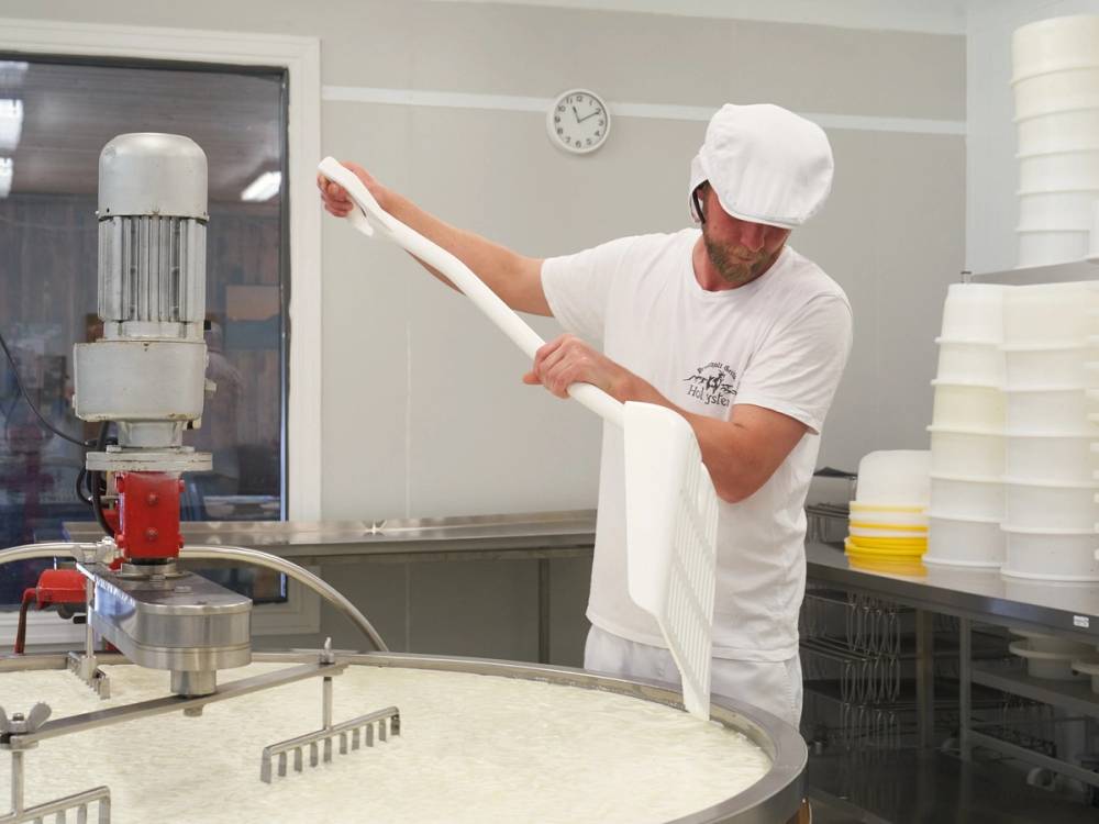 En person i hvit uniform og lue som heller ostemasse i en stor produksjonsmaskin på Ostebygda Hol ysteri.