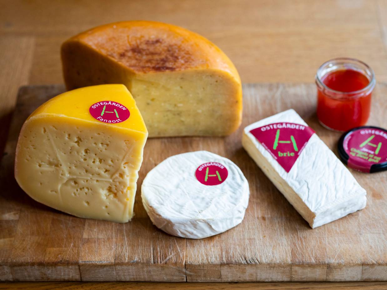 Ulike oster og en liten glass med rød saft på et skjærebrett, med et utvalg av oster i forskjellige former og farger.