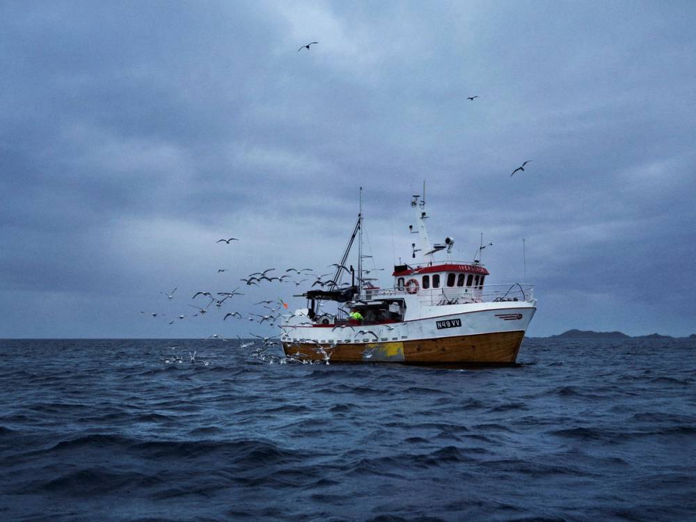 En fiskebåt som seiler på åpent hav under en overskyet himmel, med fugler som flyr rundt båten.