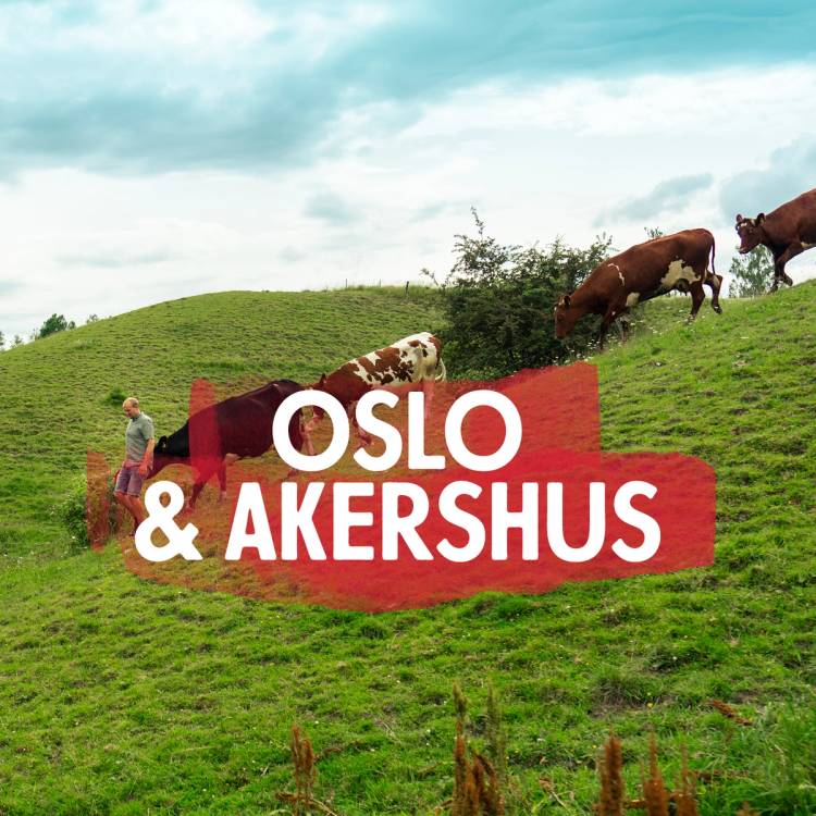 Oslo og Akershus