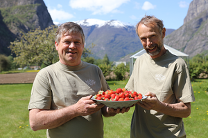 To personer holder en stor tallerken med jordbær i et grønt landskap med fjell i bakgrunnen i Lærdal, Sogn og Fjordane.