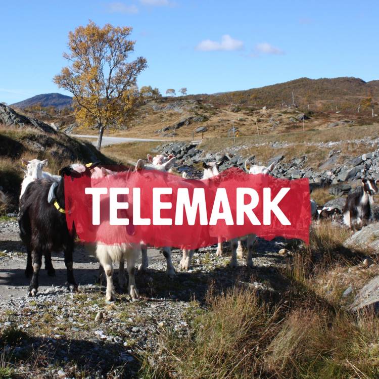 Telemark