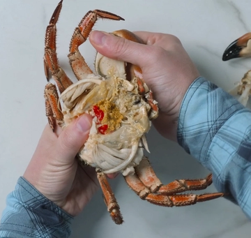 En person fjerner klør fra en krabbe med hendene sine.