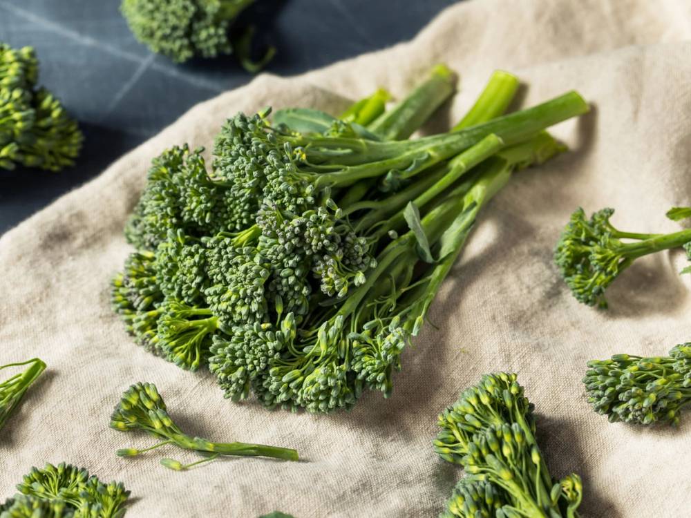 Fersk brokkoli med flere små blomsterhoder og stilker, lagt på et kjøkkenhåndkle