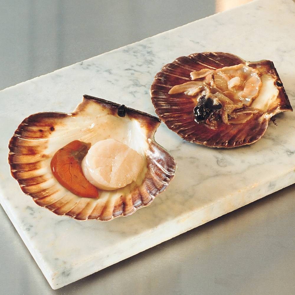 To rensede kamskjell på en hvit steinplate, med en avskallet kamskjell som viser innsiden og en annen med en mørkere ytre skal, på en lys bakgrunn.