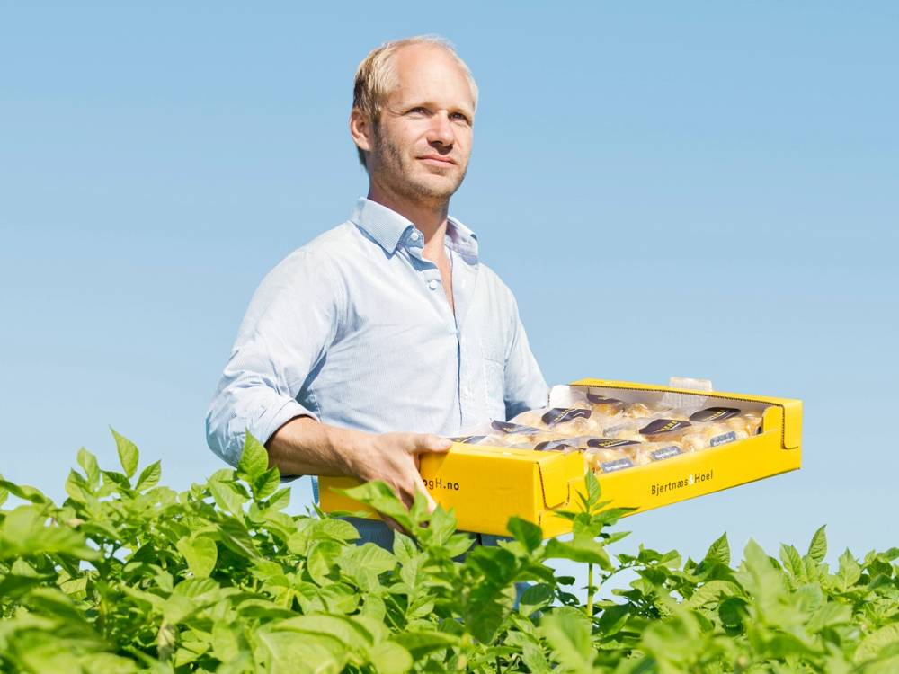 En person i lys blå skjorte holder en gul eske med kaker eller bakverk i en grønn åker eller hage mot en blå himmel.