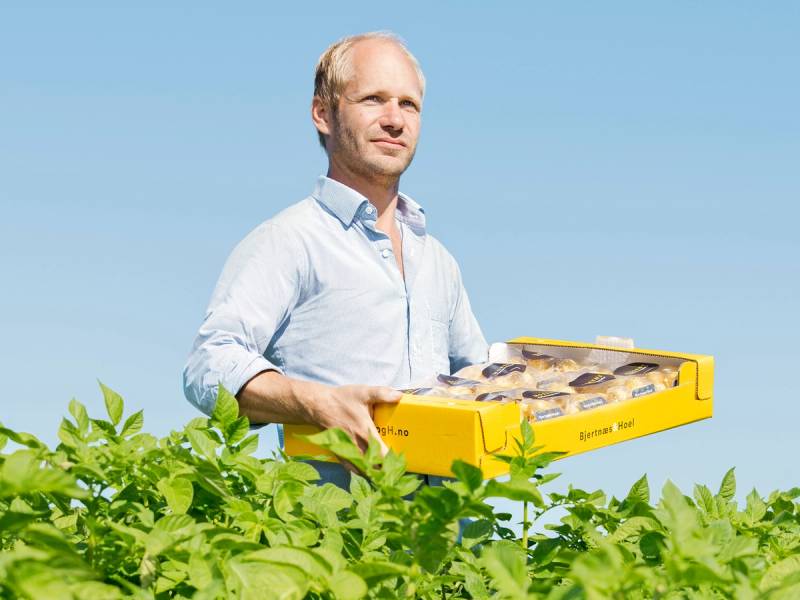 En person i lys blå skjorte holder en gul eske med kaker eller bakverk i en grønn åker eller hage mot en blå himmel.