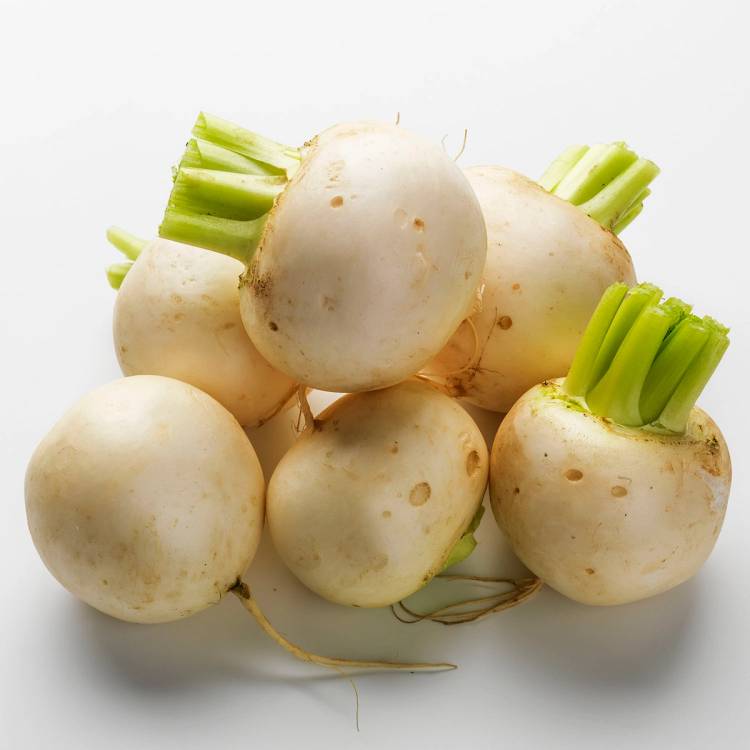 Nærbilde av flere hvite neper med grønne stilker på en hvit bakgrunn.