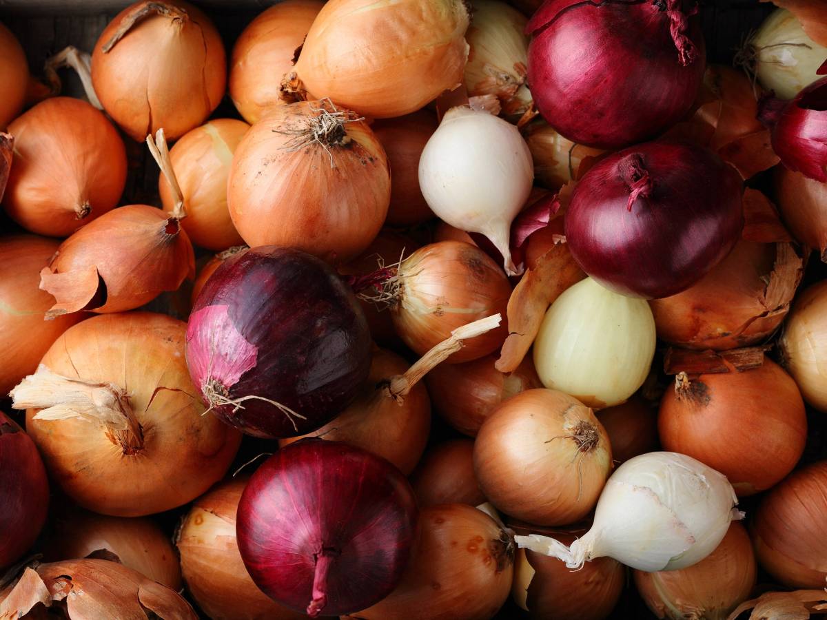 Ulike typer løk i ulike farger og størrelser samlet på en overflate.