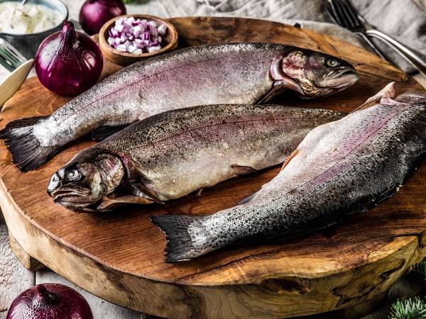 Tre hele rakfisk ligger på et rundt trebrett med små glass med tilbehør og rødløk rundt, klar til servering til jul.