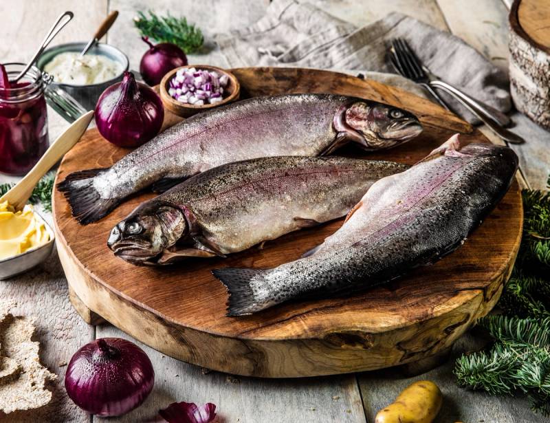 Tre hele rakfisk ligger på et rundt trebrett med små glass med tilbehør og rødløk rundt, klar til servering til jul.