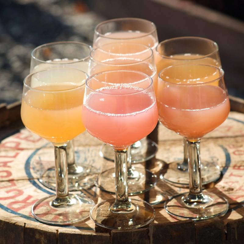 Syv små glass med ulike fargede drikker står på en treplate, med en bakgrunn av en blomsterhage.